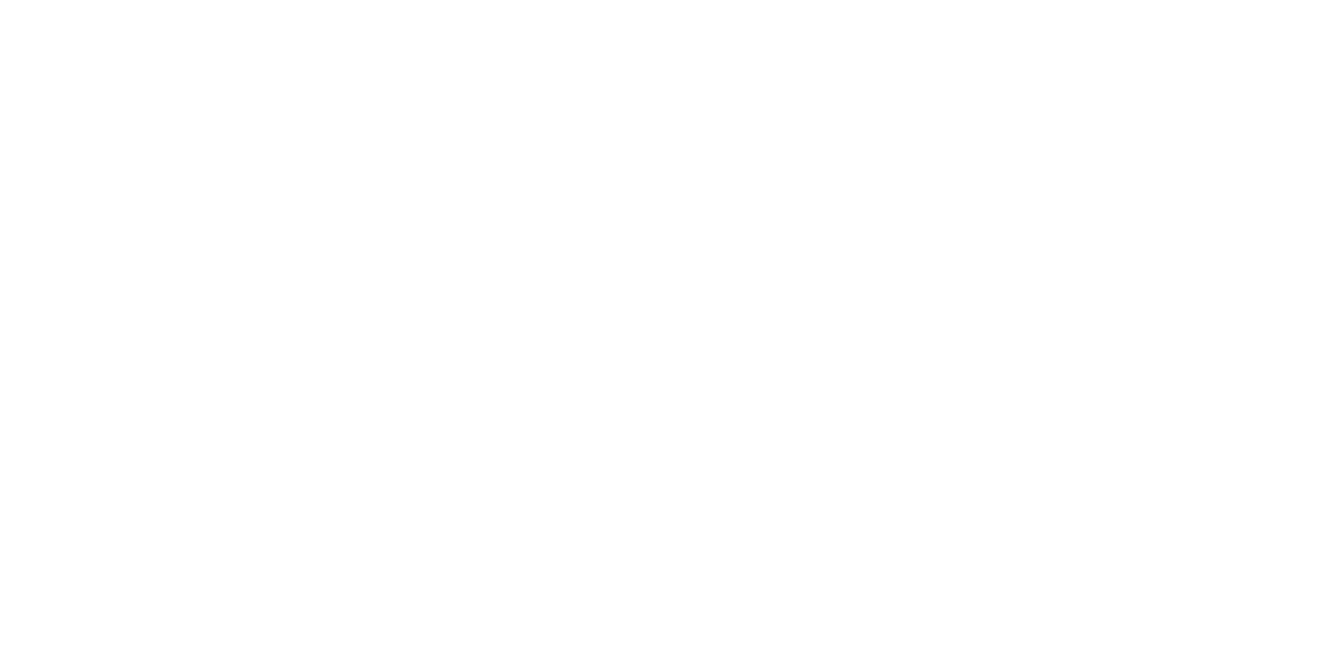 vivatiket
